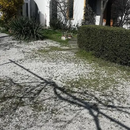 Room Garden-3